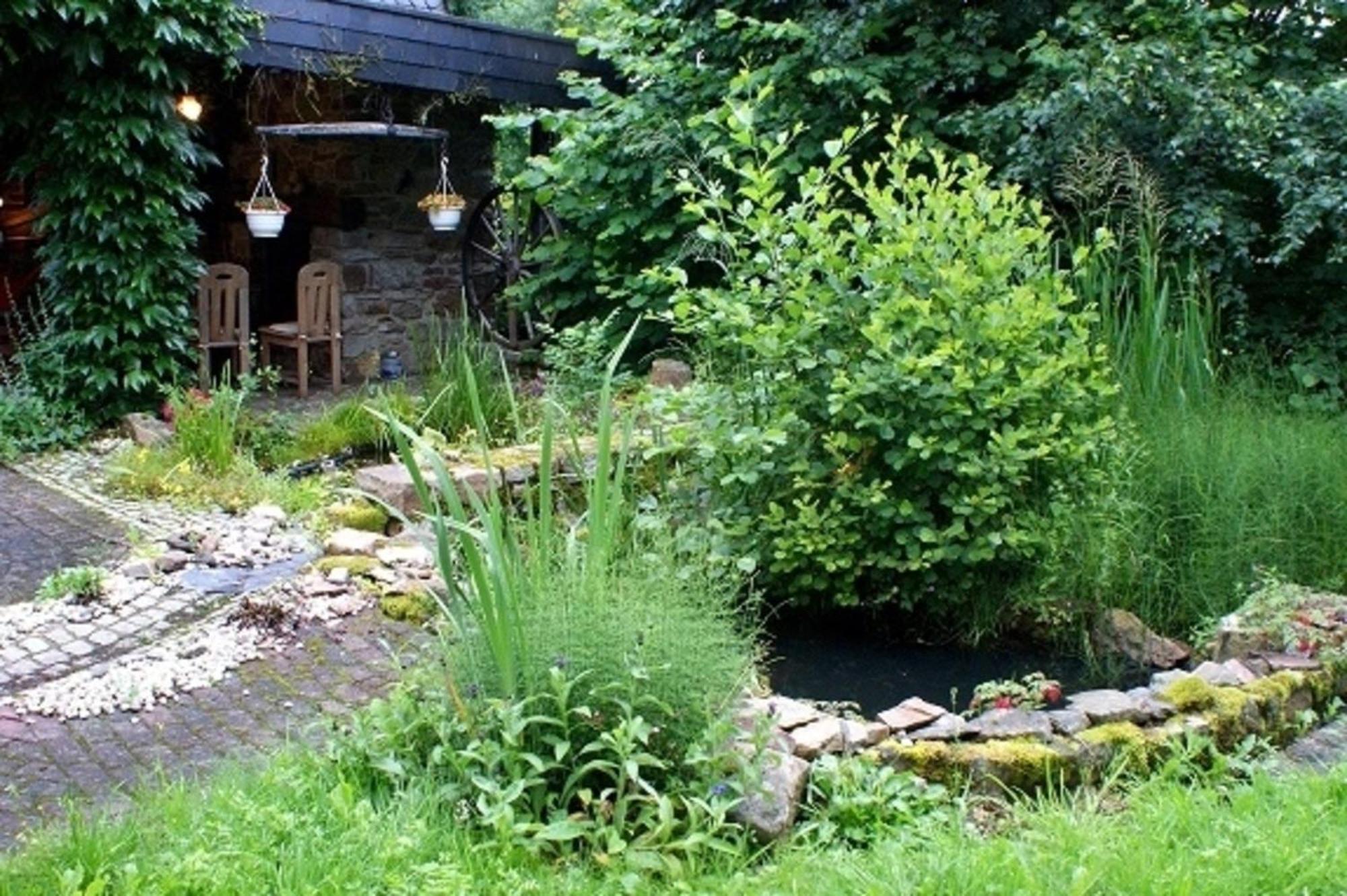 Ferienwohnung Haus Zwischen den Wäldern Allenbach Exterior foto